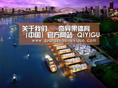 案例展示八(图1) 案例展示八(图1)