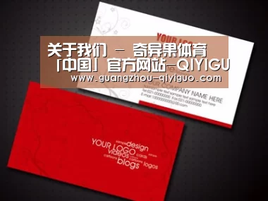 项目名称八