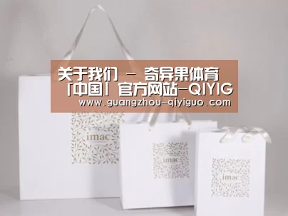 项目名称十一