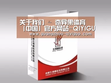 项目名称十三