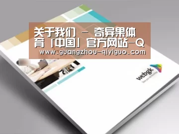 项目名称九