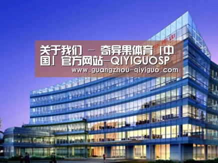 案例展示五